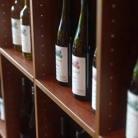 泽赫霍夫酒店 酒店 乌尔齐希