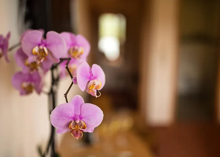 Hotel Zehnthof Ürzig